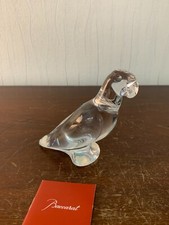 Perruches perroquets clair en