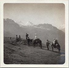 Suisse, Schweiz, Bella Tola, Randonnée d'une Famille avec Ânes vintage silv