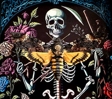 Acherontia Atropos XL- Papillon Sphinx Tête de Mort naturalisé sous caisson noir