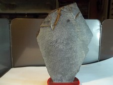 MINÉRAUX. ARDOISE.   ROCHE