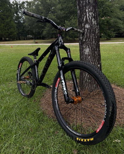 2019 dartmoor hornet dirt - 2019,