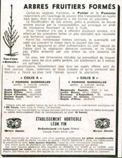 Publicité ancienne arbres