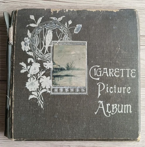 Album/Collection