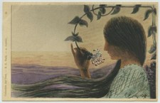 Illustrateur Arsène CADIOU