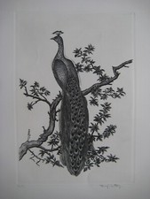 NOTTON TAVY GRAVURE SIGNÉE AU