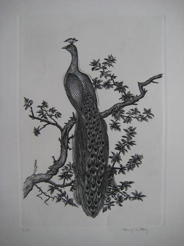 Notton tavy gravure signée - gravure,