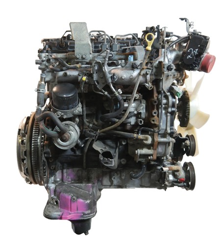 Moteur pour nissan navara d40 - moteur,