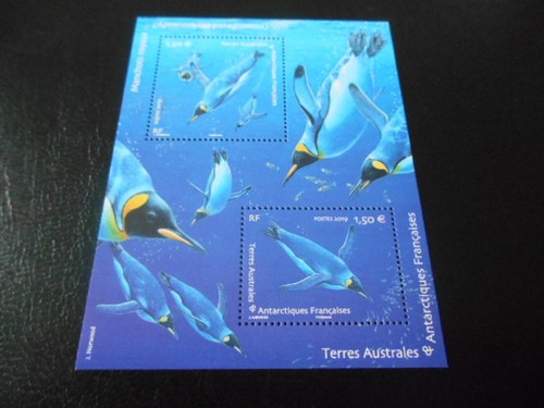Taaf poste 910 911 - taaf, n°
