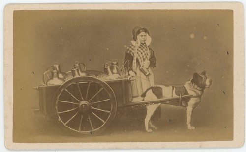 Cdv circa 1870 - circa, marchande
