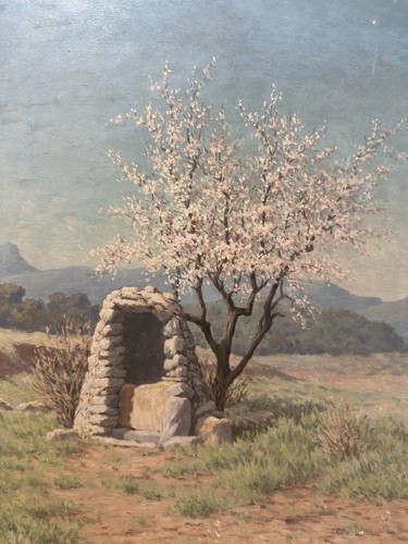Amandier fleurs au - fleurs,