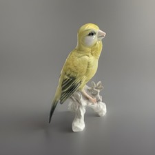 Karl ens oiseau canari - ens,