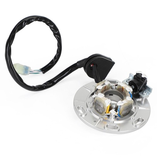 Stator alternateur pour - d'alternateur,