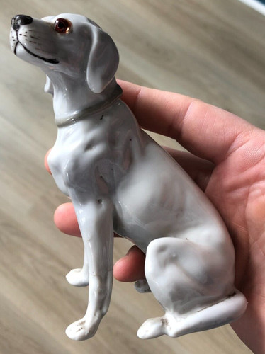 Beau chien collection dog - collection,