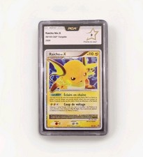 🇫🇷 RAICHU NIV. X PCA 9 -
