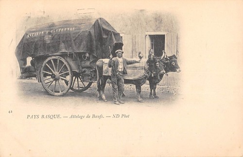 Cpa pays basque attelage de - basque,
