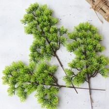 Simulation Plantes Bonsaï Pin