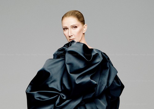 Photo céline dion portrait - photo,