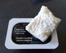Calcaire corallien blanc OCEAN INDIEN idéal collection lithotherapie reiki soin
