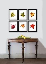 Automne Décorations Érable Feuille Set 6 Botanique Motifs Mural Art Décor Maison