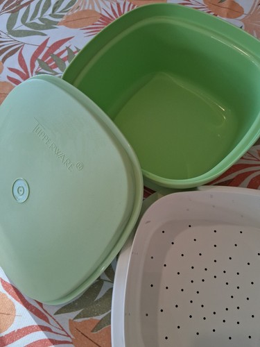 Tupperware yaourtière sans - tupperware,