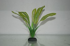 Plante en Soie Aquarium Amazon