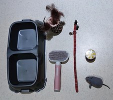 Lot complet accessoires pour chat – gamelle double, brosse, collier, jouets