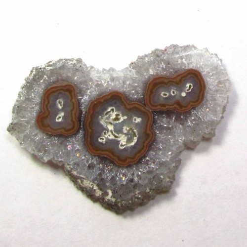 Stalactite flower slice - stalactite,