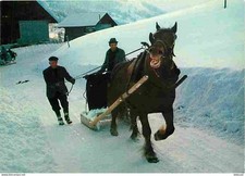 Animaux - Chevaux - Retour au