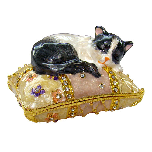 Chat sur coussin boite - , à