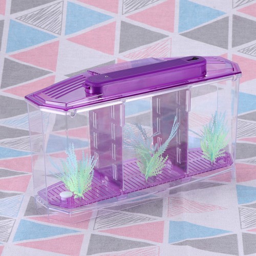 Vivier poisson aquarium - a,
