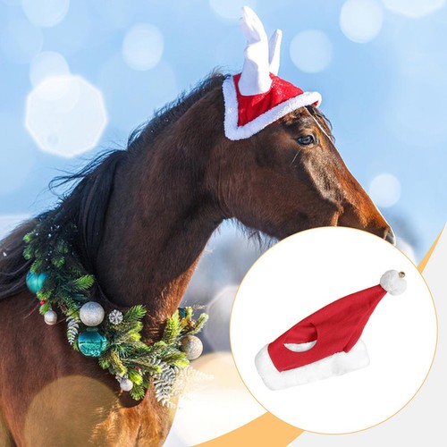 Bonnet père noël pour - bonnet,