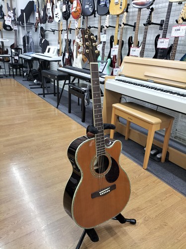 Guitare acoustique électrique