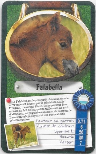 Carte top trumps chevaux - carte, ou