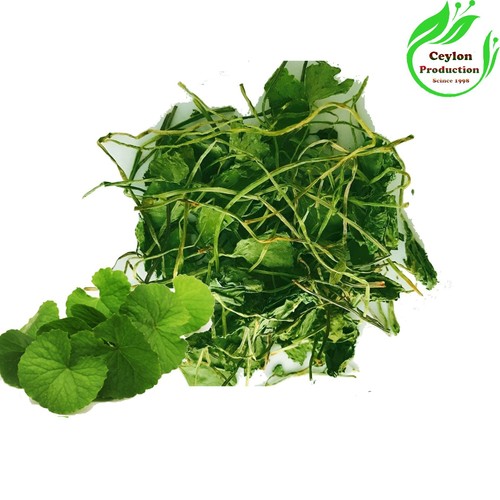 Gotu kola centella - kola, asiatica
