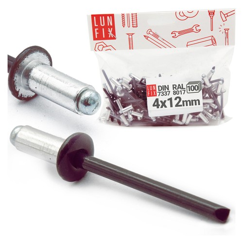 100 rivets aveugles - rivets, en