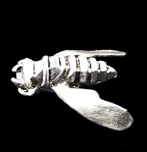 Ancienne broche cigale en - cigale,