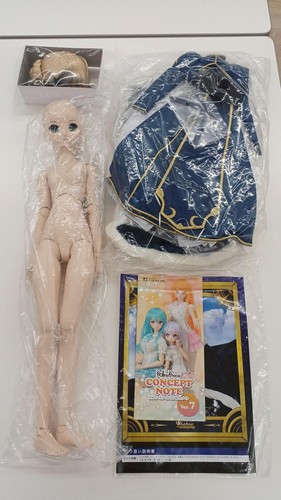 Volks dollfie dream - volks,