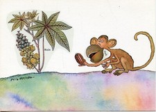 CARTE POSTALE / FANTAISIE ILLUSTRATEUR PUIG ROSADO / LE SINGE AU RICIN