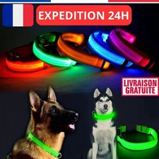 Collier chien lumineux LED