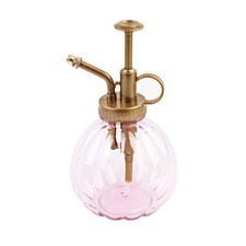  Vaporisateur Darrosage Pomme Jardin Pour Les Plantes Intérieures