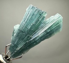 bouquet de cristaux de tourmaline indicolite, entièrement terminés/20 carats