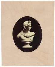Photographie de Sculpture Romaine 1880 buste de marbre - albumen print César