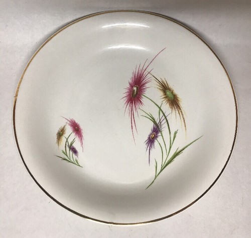 Lot deep plates porcelain - of,