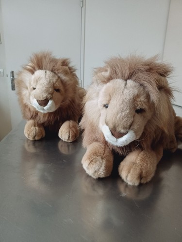 Peluches lions lion - lions, geants