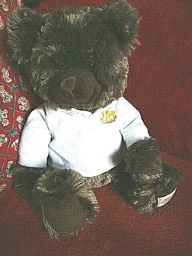 Collectors bear ours brun - ours,
