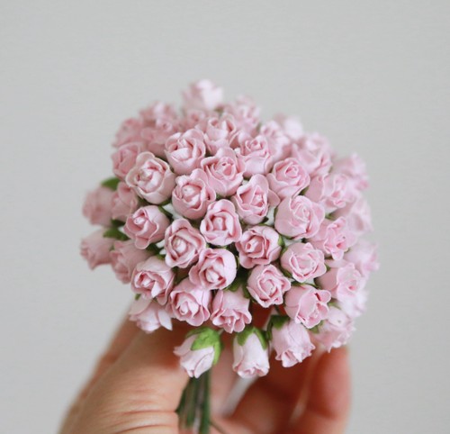 Miniature bourgeon rose rose