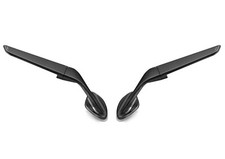 PAIR OF RHIZOME MIRRORS