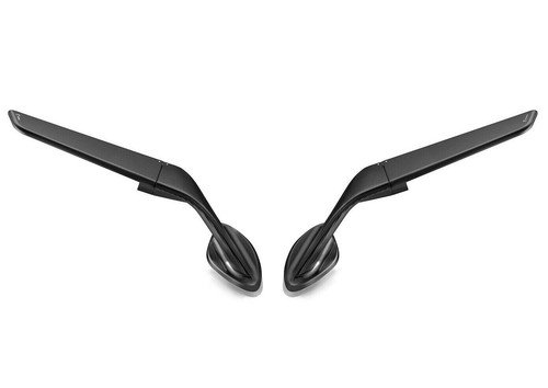 Pair rhizome mirrors - of,