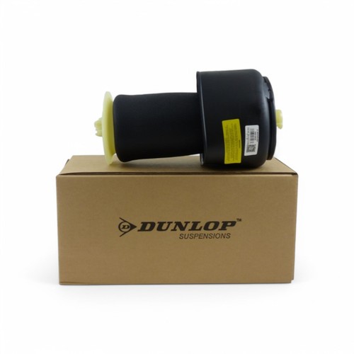 Dunlop 37106784379 bâllof - 37106784379,
