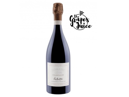 Domaine leon enchevetrer - leon, pinot